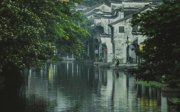 保护僵尸火种